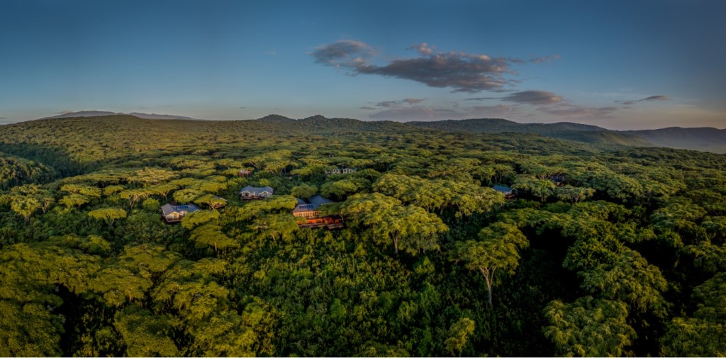 Ngorongoro