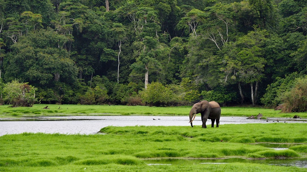 Nationale Parken Gabon