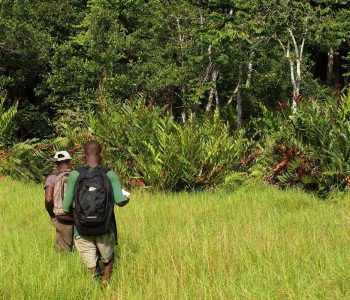 Loango National Park, Activiteiten van Gabon