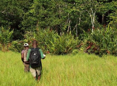 Loango National Park, Activiteiten van Gabon