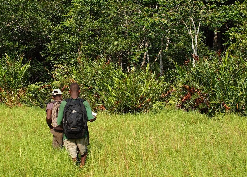 Loango National Park, Activiteiten van Gabon