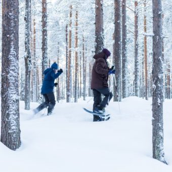 Logger's Lodge, Zweeds Lapland, Zweden