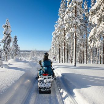 Sunny winter landscape with a man traveling Finnish Lapland with snowmobile