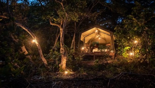 Louri Wilderness Camp, Gabon