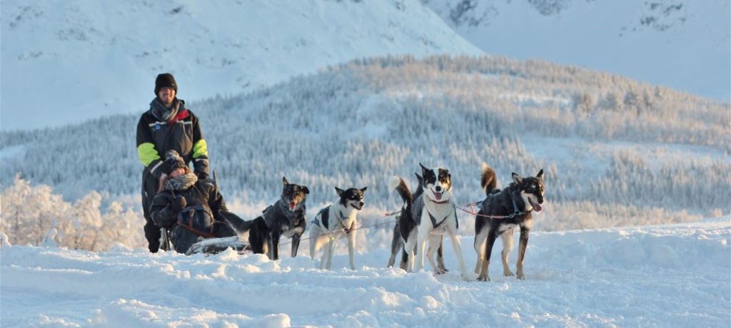 @Lyngen Experience Lodge @Lyngen Experience Lodge, Noorwegen