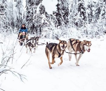 Luxe winterreis Lapland met privé gids