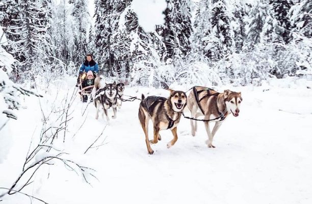Luxe winterreis Lapland met privé gids