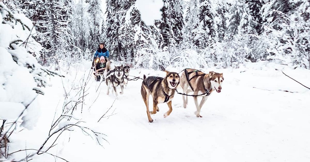 Luxe winterreis Lapland met privé gids
