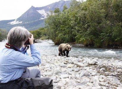 grizzly beren van kodiak tot katmai