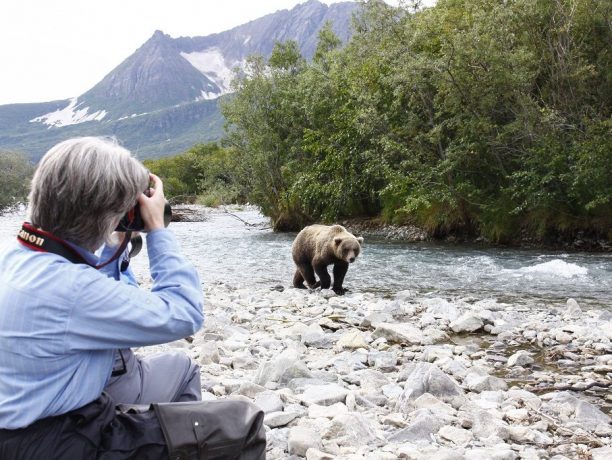 grizzly beren van kodiak tot katmai