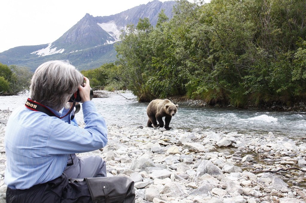 grizzly beren van kodiak tot katmai