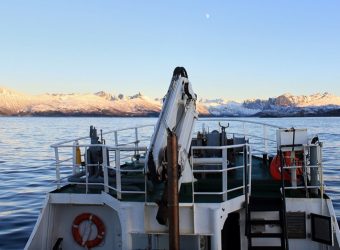 Snorkelen met orka's, MS Sula, Tromso, Noorwegen