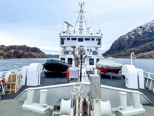 MV Vestland Explorer, Snorkelen met orka's in Noorwegen