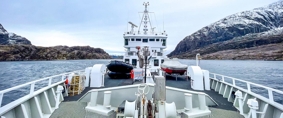 MV Vestland Explorer, Snorkelen met orka's in Noorwegen