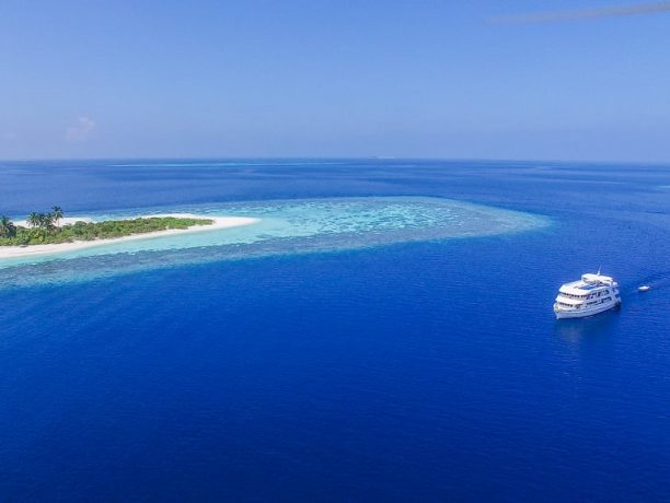 Walvissenreis Malediven zuidelijke Atollen