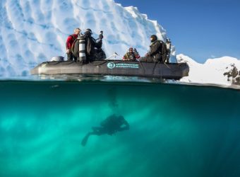 Poolduiken, MV PLancius expeditie, Antarctica reizen
