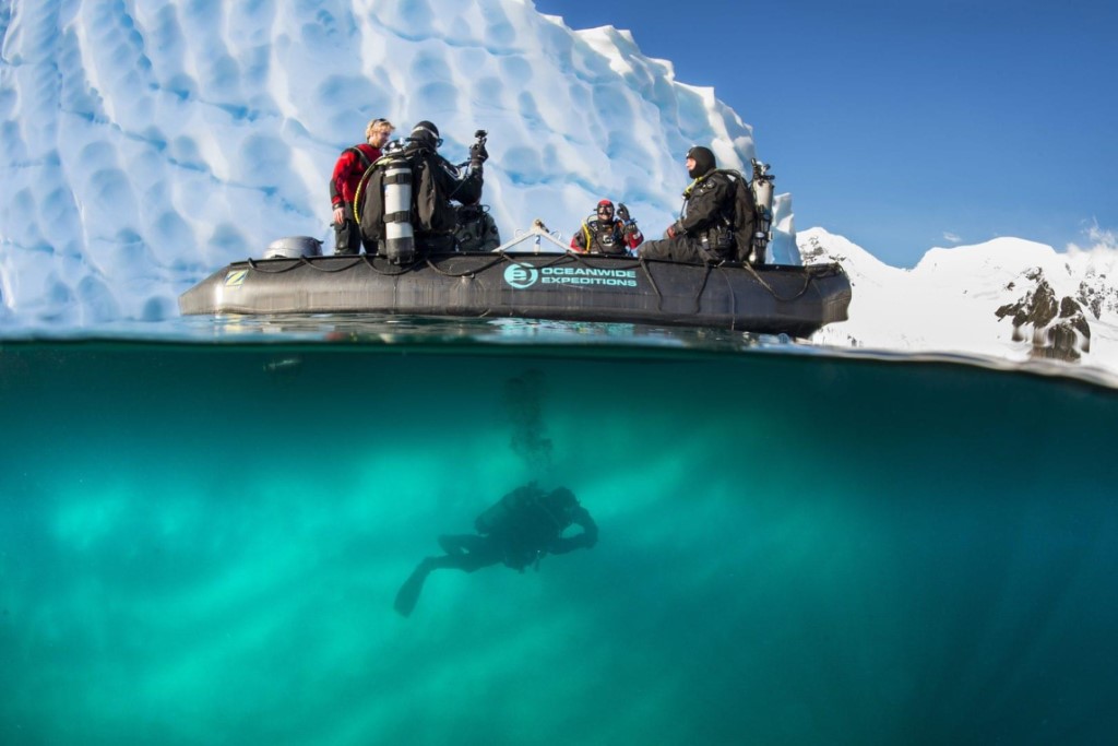 Poolduiken, MV PLancius expeditie, Antarctica reizen