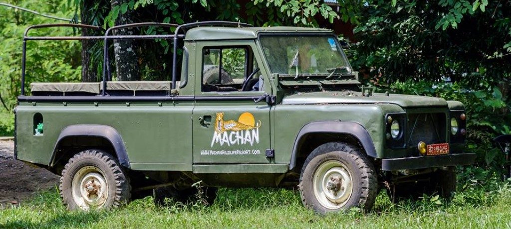 Machan Wildlife Resort