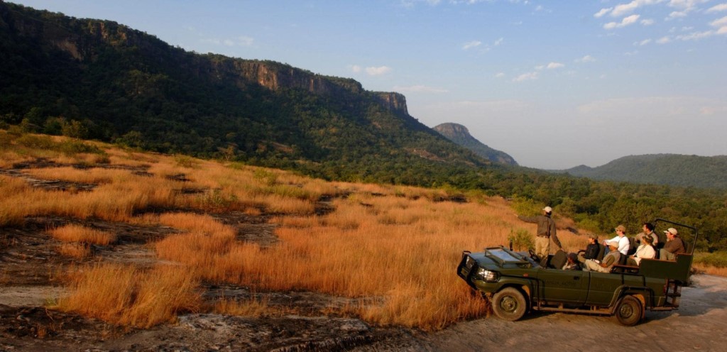 Safari
