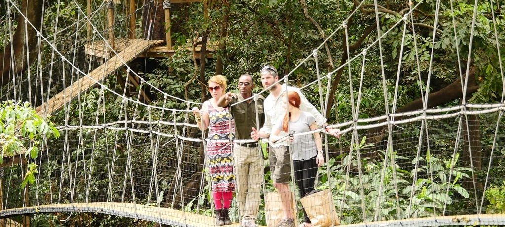 Manyara - Treetop Walkway - Wayo