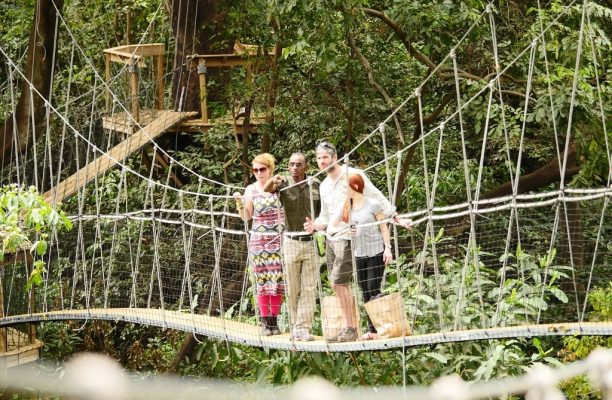 Manyara - Treetop Walkway - Wayo