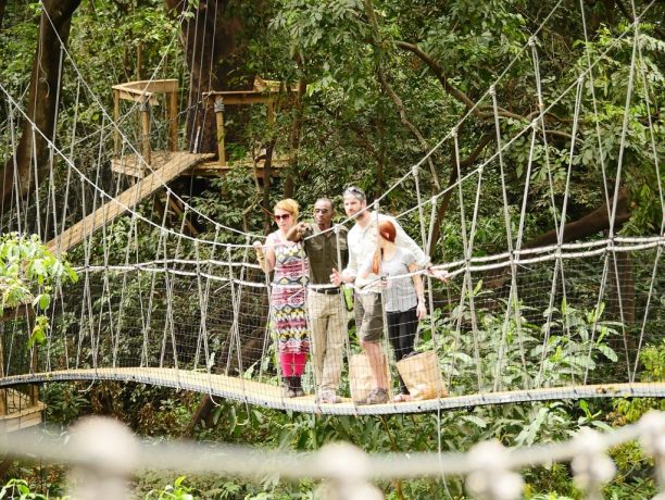 Manyara - Treetop Walkway - Wayo