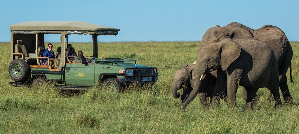 Mara Plains Camp