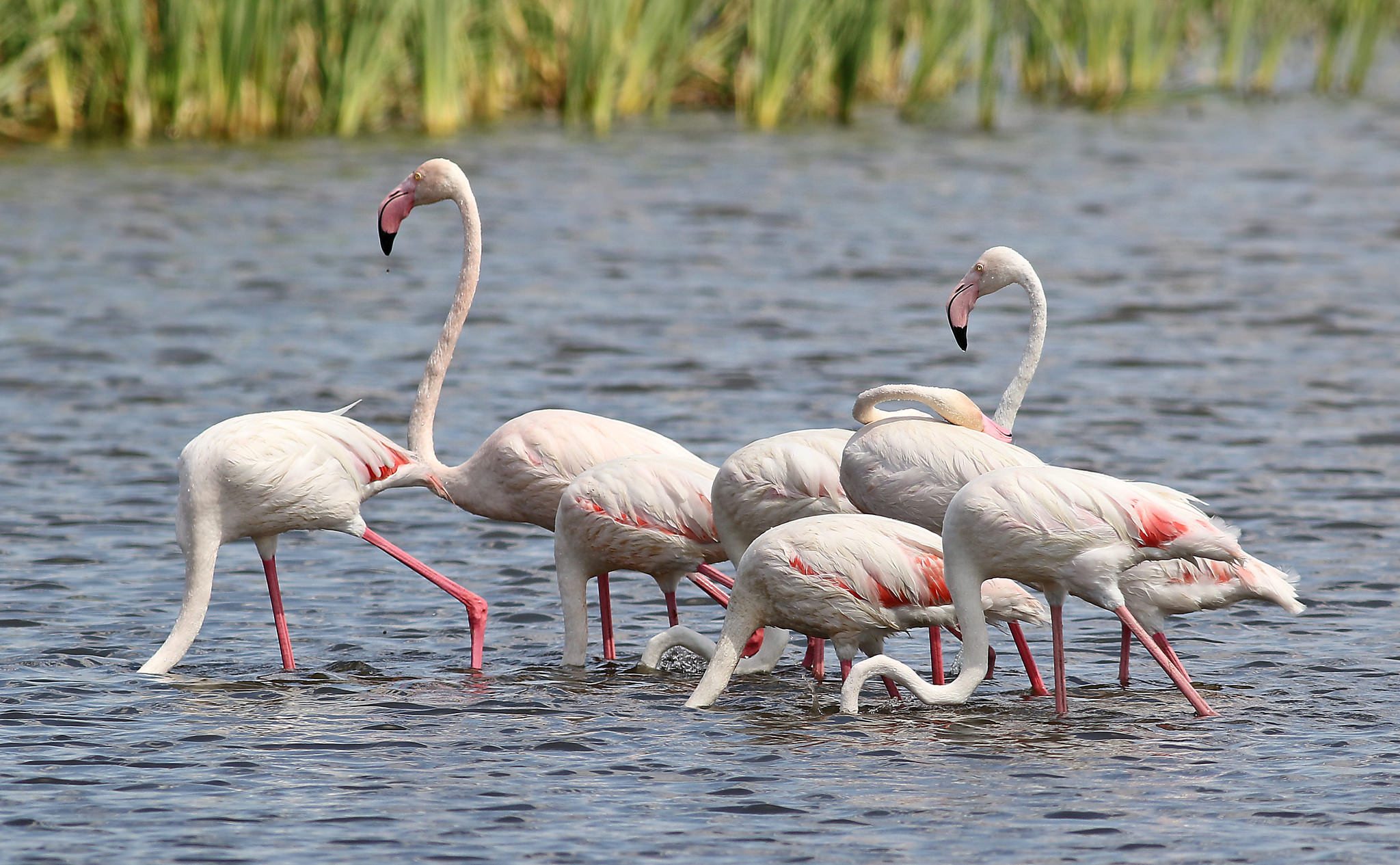 Momella Lakes, Arusha National Park