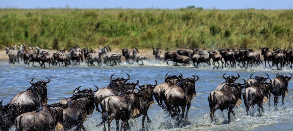 Masai Mara, Noord Tanzania, Beste tijd voor Kenia, Kenia safari en strandreis
