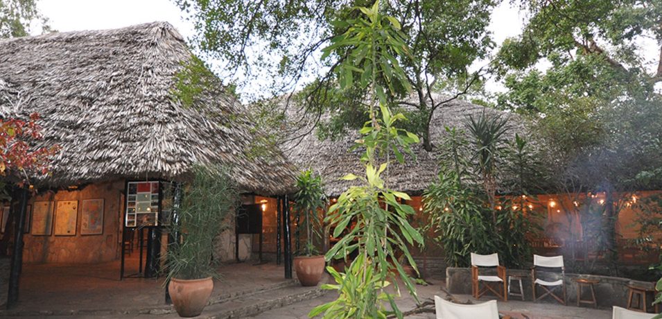 Masai Mara Fig Tree Camp