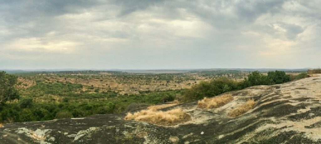 Lake Mburo