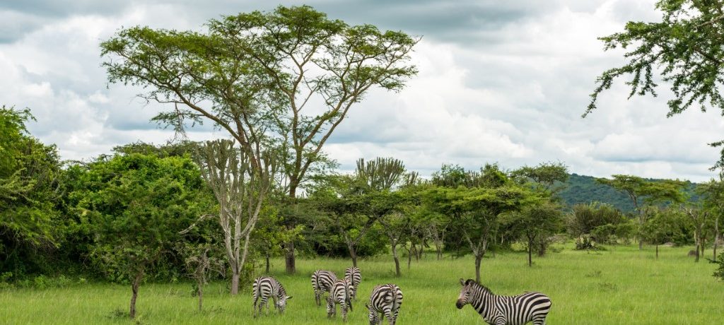 Lake Mburo