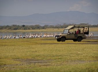 Game drive