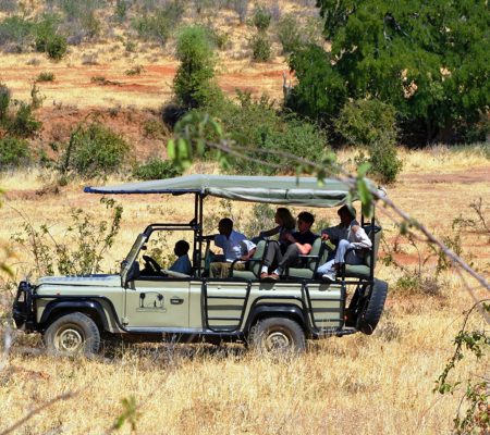 Game drive