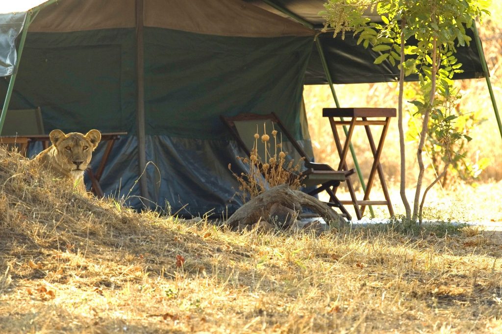 Mdonya Old River Camp, Rondreis Zuid Tanzania