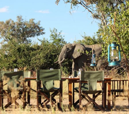 Terras, Mdonya Old River Camp