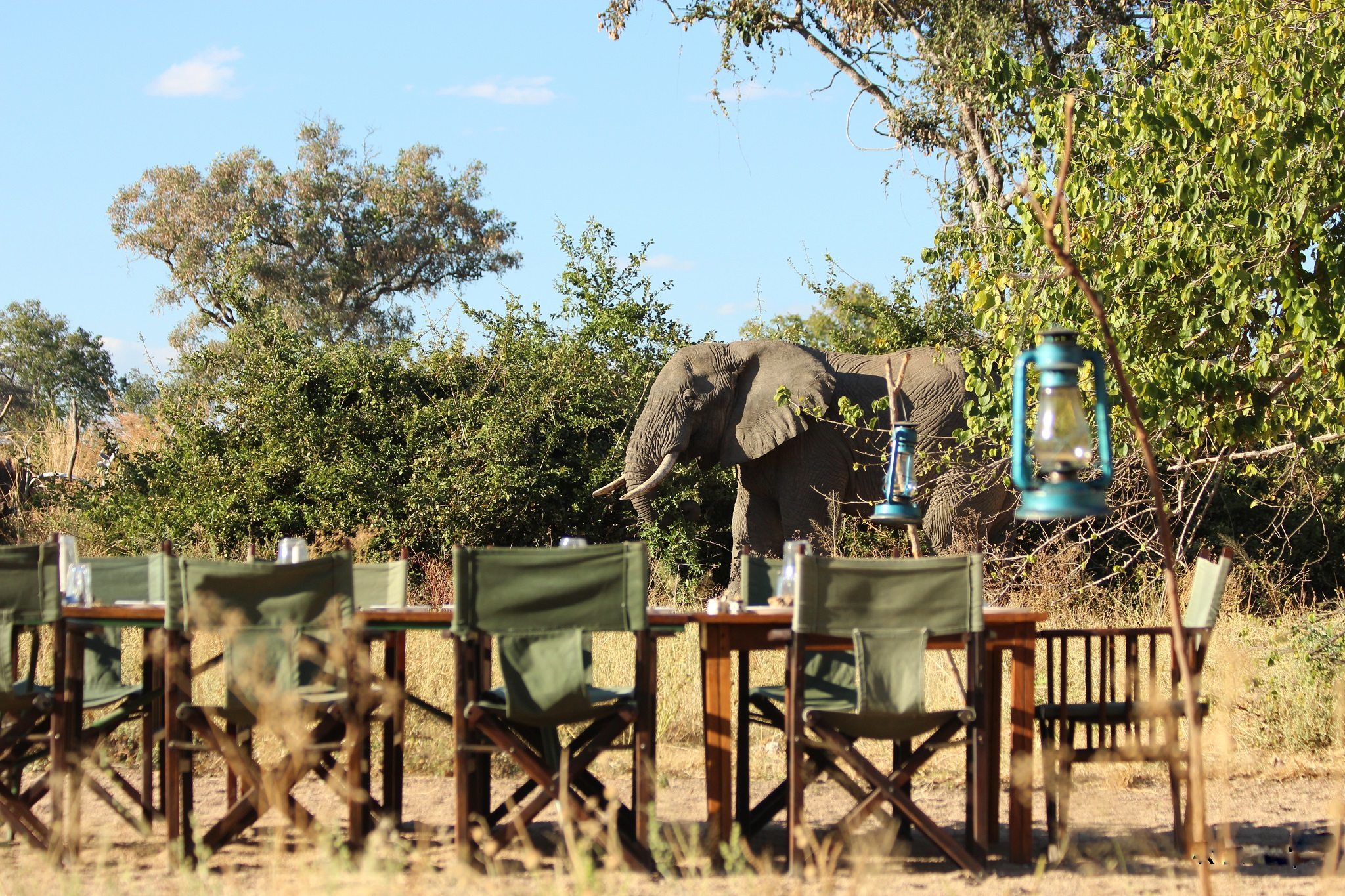 Terras, Mdonya Old River Camp