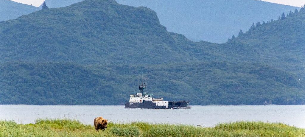 Ursus, Kodiak Island, Alaska Ursus, Kodiak Island, Alaska