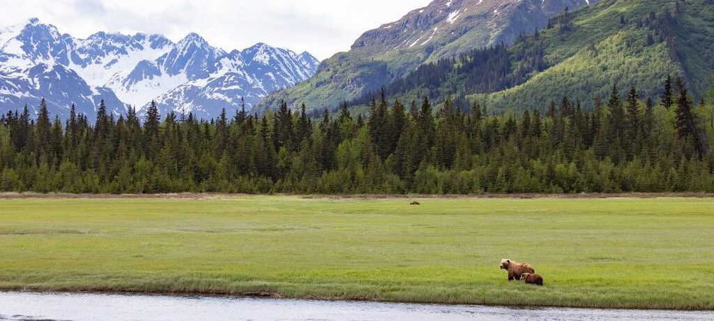 Alaska Bear Camp, Lake Clarck, Alaska Alaska Bear Camp, Lake Clarck, Alaska