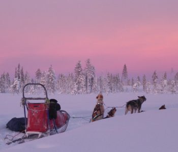 Meerdaagse husky safari Zweden