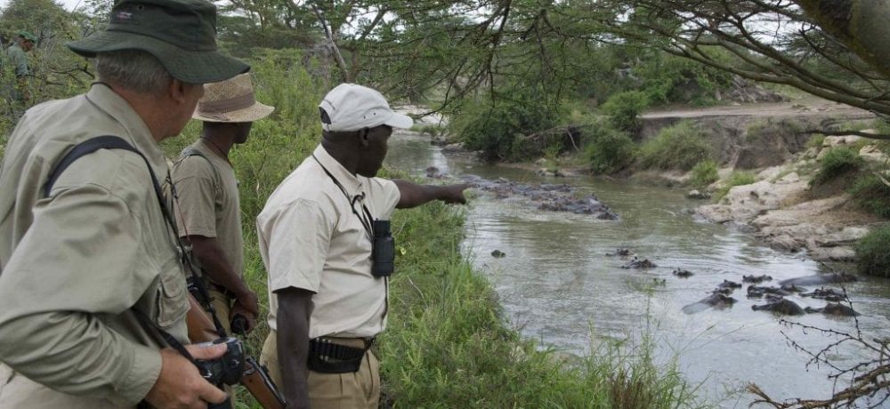 Serengeti Migration Camp