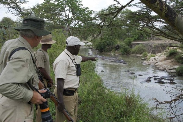 Serengeti Migration Camp