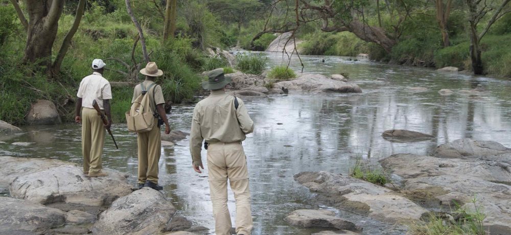 Serengeti Migration Camp