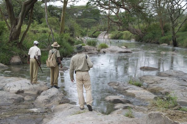 Serengeti Migration Camp