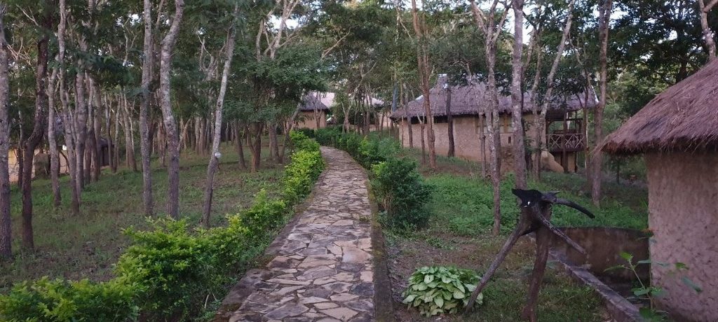 Mikumi Safari Lodge