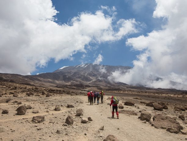 Moir Valley, Kilimanjaro - Flickr © Hyperfocaldistance Flickr CC BY- ND 2.0