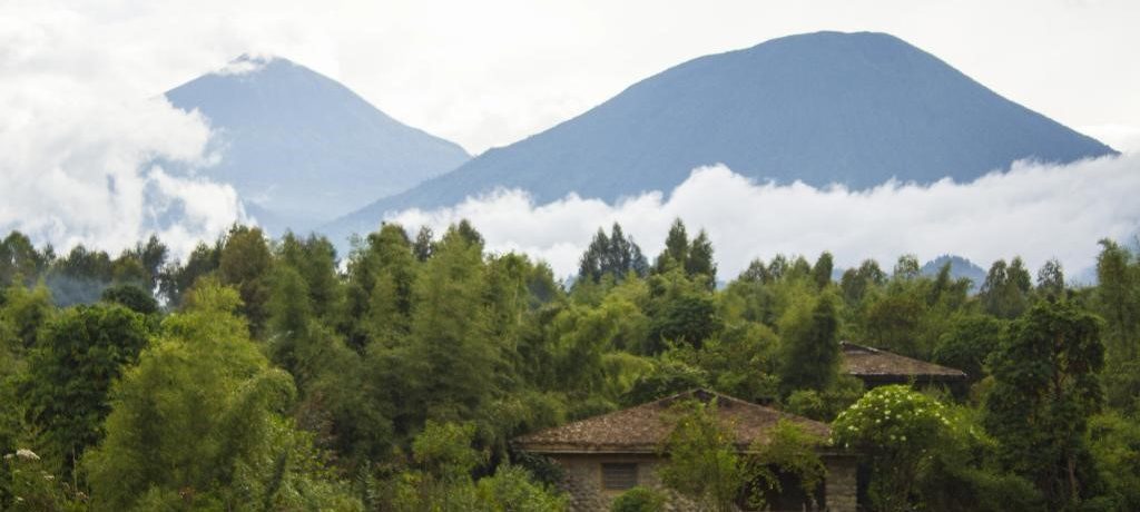 Mountain Gorilla View Lodge