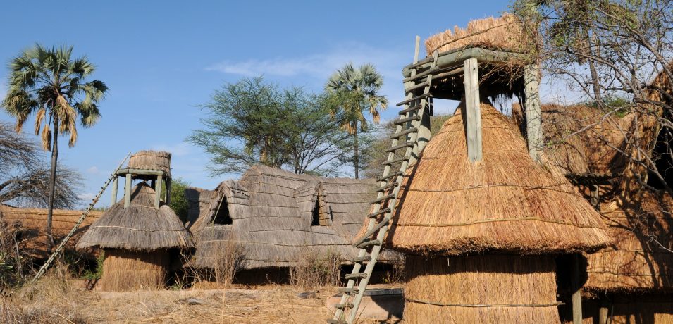 Mwagusi Safari Camp