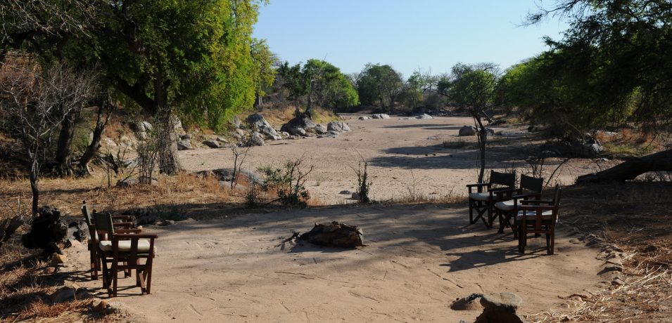 Mwagusi Safari Camp