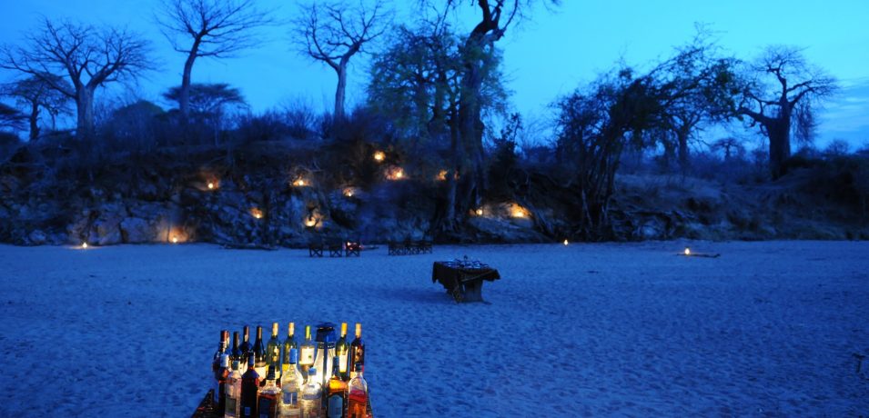 Mwagusi Safari Camp